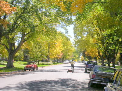 Terry, Fall, Colorado Springs.